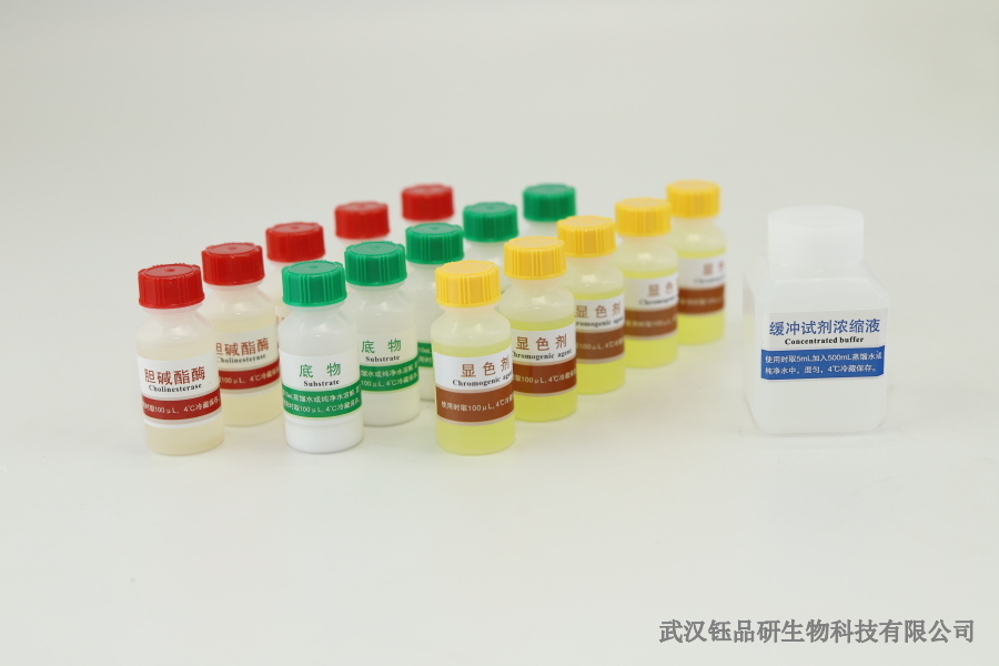 冻干工艺原理：生物检测试剂的制备与保存技术​