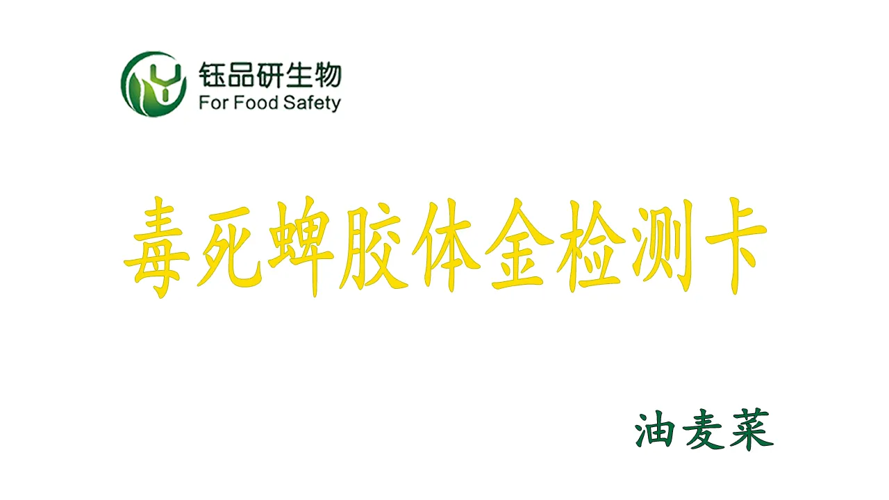 油麦菜毒死蜱农残快筛:胶体金检测卡操作全流程